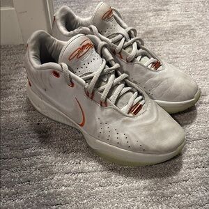 USED- Nike LeBron 21 Akoya